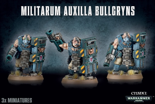 [2110000062941] Militarum Auxilla Bullgryns